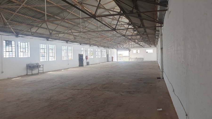To Let Commercial Property for Rent in Salt River Western Cape